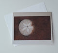 Sanded Star