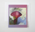 Blushing Calla